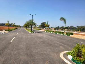 Plots In Devanahalli